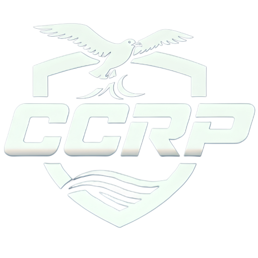 Chicago City Roleplay icon